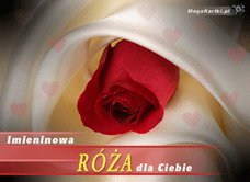 e-Kartka e Kartki z tagiem: Kartki na imieniny Imieninowa róża dla Ciebie, kartki internetowe, pocztówki, pozdrowienia