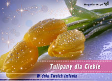 e-Kartka e Kartki z tagiem: Życzenia na imieniny Tulipany dla Ciebie, kartki internetowe, pocztówki, pozdrowienia