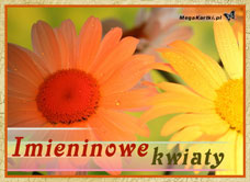 e-Kartka e Kartki z tagiem: Darmowe e-kartki z muzyką Imieninowe kwiaty, kartki internetowe, pocztówki, pozdrowienia