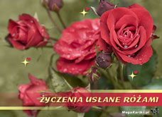 e-Kartka e Kartki z tagiem: 100 lat Życzenia usłane różami, kartki internetowe, pocztówki, pozdrowienia