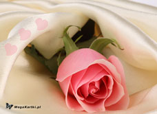 e-Kartka e Kartki z tagiem: Kartki z melodią Ślubna róża, kartki internetowe, pocztówki, pozdrowienia