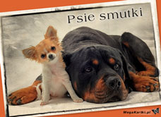 e-Kartka e Kartki z tagiem: Darmowe kartki internetowe Psie smutki, kartki internetowe, pocztówki, pozdrowienia