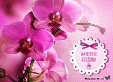 e-Kartka e Kartki z tagiem: Darmowa kartka na urodziny Kartka pełna kwiatów, kartki internetowe, pocztówki, pozdrowienia