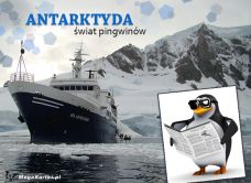 e-Kartka elektroniczne Świat pingwinów, kartki internetowe, pocztówki, pozdrowienia