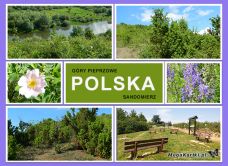 e-Kartka elektroniczne Sandomierz - Góry Pieprzowe, kartki internetowe, pocztówki, pozdrowienia