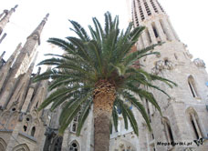 e-Kartka elektroniczne Hiszpania/Barcelona/Sagrada Familia, kartki internetowe, pocztówki, pozdrowienia