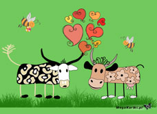 e-Kartka elektroniczne Zakochane krowy, kartki internetowe, pocztówki, pozdrowienia