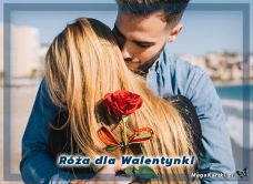 e-Kartka e Kartki z tagiem: Darmowe kartki elektroniczne Róża dla Walentynki, kartki internetowe, pocztówki, pozdrowienia