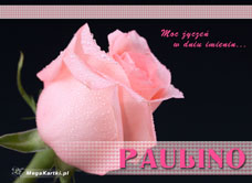 e-Kartka e Kartki z tagiem: e-kartki okolicznościowe Dla Pauliny, kartki internetowe, pocztówki, pozdrowienia