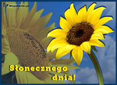 e-Kartka e Kartki z tagiem: Kartka kwiaty Słoneczngo dnia, kartki internetowe, pocztówki, pozdrowienia