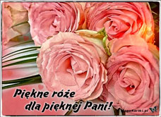 e-Kartka e Kartki z tagiem: Kartka kwiaty Piękne róże, kartki internetowe, pocztówki, pozdrowienia