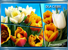 e-Kartka e Kartki z tagiem: Kartka kwiaty Pocztówka z kwiatami, kartki internetowe, pocztówki, pozdrowienia