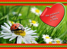 e-Kartka e Kartki z tagiem: Kartka kwiaty Na polance, kartki internetowe, pocztówki, pozdrowienia
