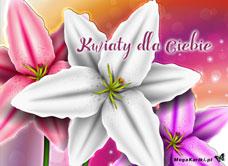 e-Kartka e Kartki z tagiem: Życzenia imieninowe Kwiaty dla Ciebie, kartki internetowe, pocztówki, pozdrowienia
