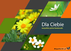 e-Kartka e Kartki z tagiem: Życzenia imieninowe Polne kwiatuszki, kartki internetowe, pocztówki, pozdrowienia