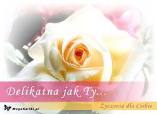 e-Kartka e Kartki z tagiem: Kwiaty Delikatna jak Ty, kartki internetowe, pocztówki, pozdrowienia