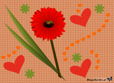 e-Kartka e Kartki z tagiem: Kwiaty Gerberka, kartki internetowe, pocztówki, pozdrowienia