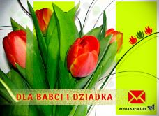e-Kartka e Kartki z tagiem: Prezent Czerwone tulipany, kartki internetowe, pocztówki, pozdrowienia