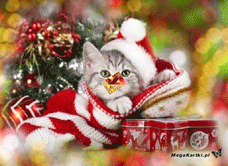e-Kartka e Kartki z tagiem: Mikołajki Wyjątkowe Boże Narodzenie, kartki internetowe, pocztówki, pozdrowienia