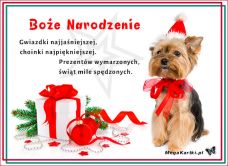 e-Kartka e Kartki z tagiem: Święty Mikołaj Świąt mile spędzonych, kartki internetowe, pocztówki, pozdrowienia