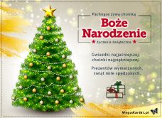e-Kartka e Kartki z tagiem: Życzenia bożonarodzeniowe Najpiękniejsza choinka 2023, kartki internetowe, pocztówki, pozdrowienia
