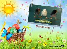e-Kartka   Zawitała Wielkanoc, kartki internetowe, pocztówki, pozdrowienia
