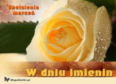 e-Kartka  Imieninowa róża, kartki internetowe, pocztówki, pozdrowienia
