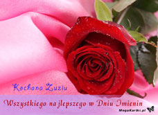 e-Kartka e Kartki z tagiem: Róże Dla Zuzi, kartki internetowe, pocztówki, pozdrowienia