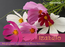 e-Kartka e Kartki z tagiem: Życzenia na imieniny Dla Izabeli, kartki internetowe, pocztówki, pozdrowienia