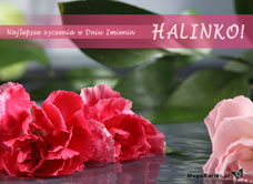 e-Kartka e Kartki z tagiem: Dla Haliny Imieniny Halinki, kartki internetowe, pocztówki, pozdrowienia