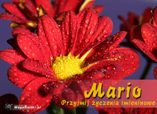 e-Kartka e Kartki z tagiem: Maria Mario, Mario, kartki internetowe, pocztówki, pozdrowienia