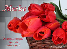 e-Kartka e Kartki z tagiem: Tulipany Mareczkowi, kartki internetowe, pocztówki, pozdrowienia