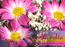 e-Kartka  Imieniny Aurelii, kartki internetowe, pocztówki, pozdrowienia