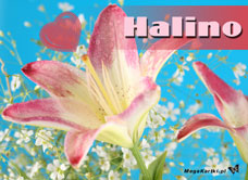 e-Kartka e Kartki z tagiem: Halina Dla Haliny, kartki internetowe, pocztówki, pozdrowienia