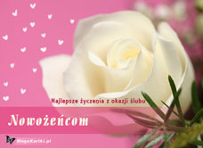e-Kartka Darmowe e Kartki Ślubne Nowożeńcom - życzenia!, kartki internetowe, pocztówki, pozdrowienia