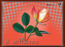 e-Kartka e Kartki z tagiem: Darmowe kartki Kwiat dla Ciebie, kartki internetowe, pocztówki, pozdrowienia