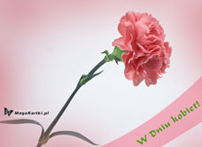 e-Kartka e Kartki z tagiem: Kwiatki W Dniu Kobiet!, kartki internetowe, pocztówki, pozdrowienia