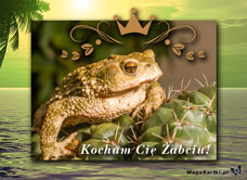 e-Kartka e Kartki z tagiem: Kartki z żabką Karteczka dla Żabci, kartki internetowe, pocztówki, pozdrowienia