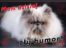 e-Kartka e Kartki z tagiem: Kartki z kotem Zły humor, kartki internetowe, pocztówki, pozdrowienia