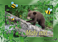 e-Kartka e Kartki z tagiem: Darmowe pocztówki ze zwierzętami Mały miś, kartki internetowe, pocztówki, pozdrowienia
