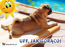 e-Kartka e Kartki z tagiem: e-Kartka z psem Uff, jak gorąco, kartki internetowe, pocztówki, pozdrowienia