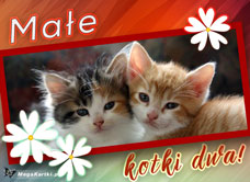 e-Kartka e Kartki z tagiem: Kartka z kotem Małe kotki dwa, kartki internetowe, pocztówki, pozdrowienia