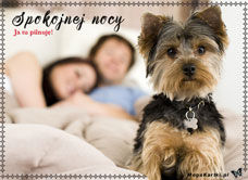 e-Kartka e Kartki z tagiem: e-Kartki z psem Spokojnej nocy, kartki internetowe, pocztówki, pozdrowienia