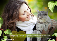 e-Kartka e Kartki z tagiem: Kartka z kotem Czas spędzony z kotami, kartki internetowe, pocztówki, pozdrowienia
