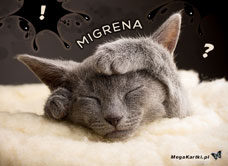 e-Kartka e Kartki z tagiem: e-Kartka z kotem Migrenowy zawrót głowy, kartki internetowe, pocztówki, pozdrowienia