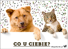 e-Kartka e Kartki z tagiem: Kartki z kotem Co u Ciebie?, kartki internetowe, pocztówki, pozdrowienia