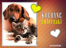 e-Kartka e Kartki z tagiem: Kartka z kotem Kochane zwierzaki, kartki internetowe, pocztówki, pozdrowienia