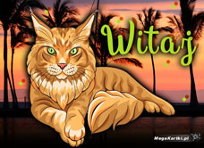 e-Kartka e Kartki z tagiem: Kartki zwierzęta Dzikie powitanie, kartki internetowe, pocztówki, pozdrowienia