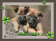 e-Kartka e Kartki z tagiem: Pies Miłego dnia, kartki internetowe, pocztówki, pozdrowienia