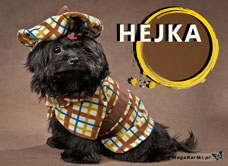 e-Kartka e Kartki z tagiem: e-Kartki z psem Hejka, kartki internetowe, pocztówki, pozdrowienia